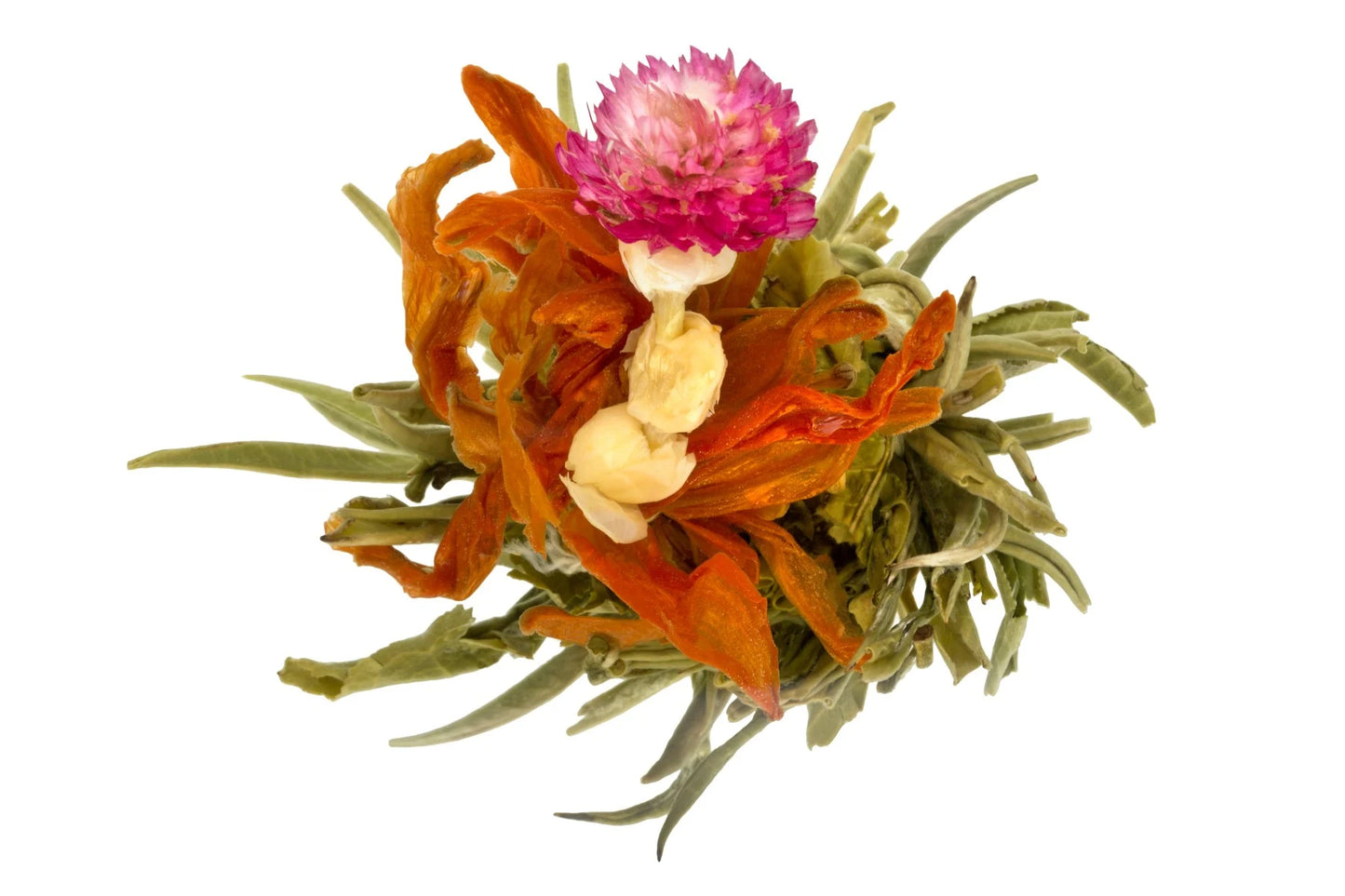 Bai He Xian Zi Divine Lily