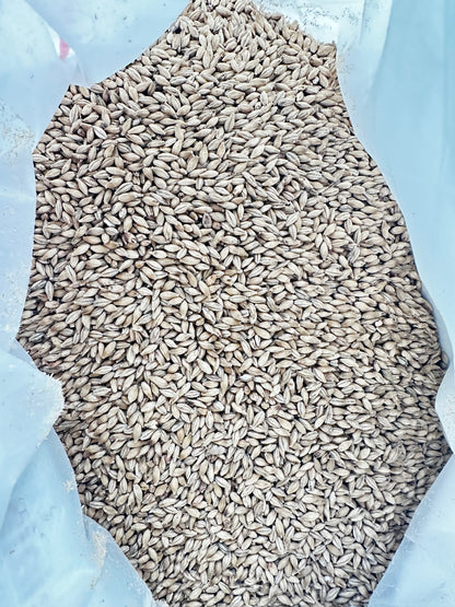Weyermann® Pilsnermalt – Klassisk basemalt (2,5–4,5 EBC)