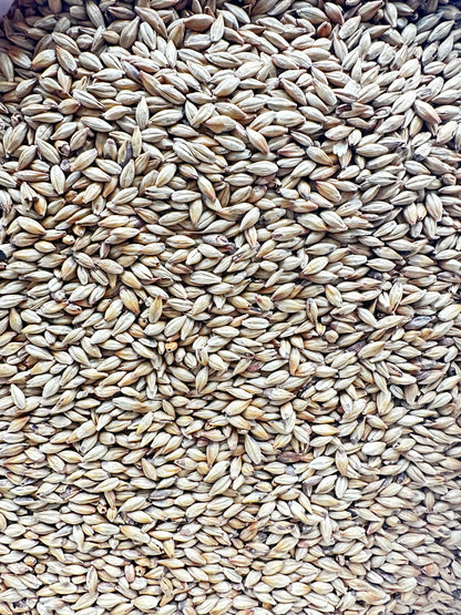 Weyermann® Caramunich® I – karamellmalt (80–100 EBC)