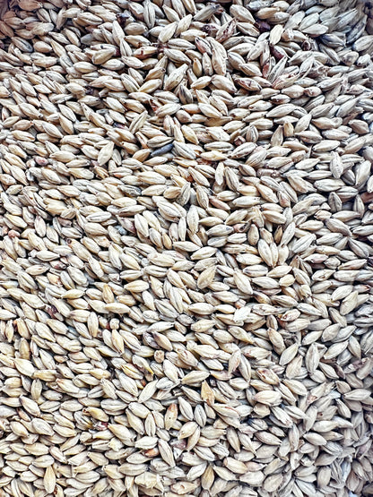 Weyermann® Münchenermalt Type I – basemalt (12–18 EBC)