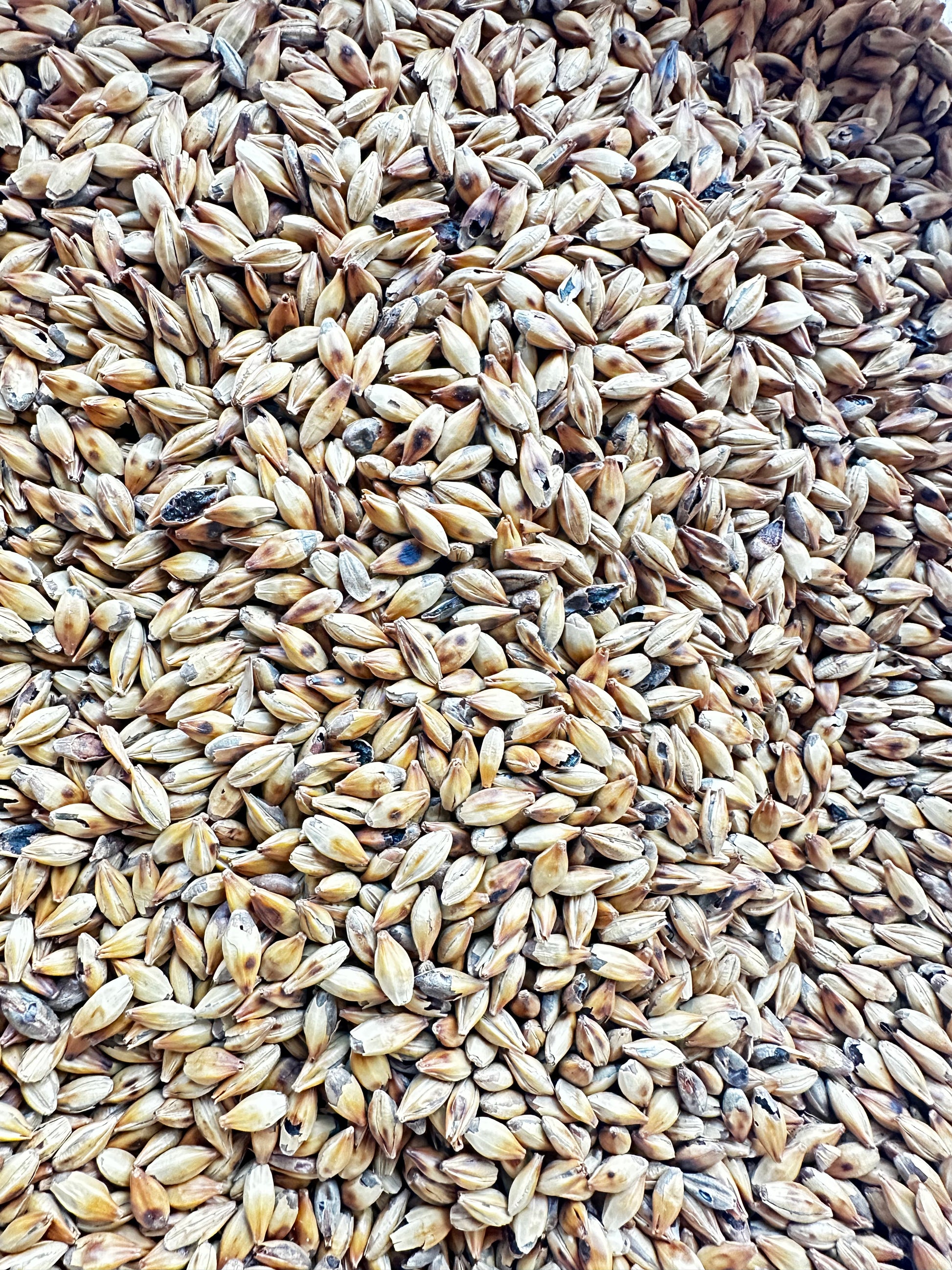 Crisp Crystal 100 – britisk krystallmalt (100–120 EBC)